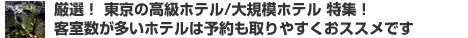 客室数の多いホテル特集
