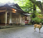 春日奥山 月日亭の写真